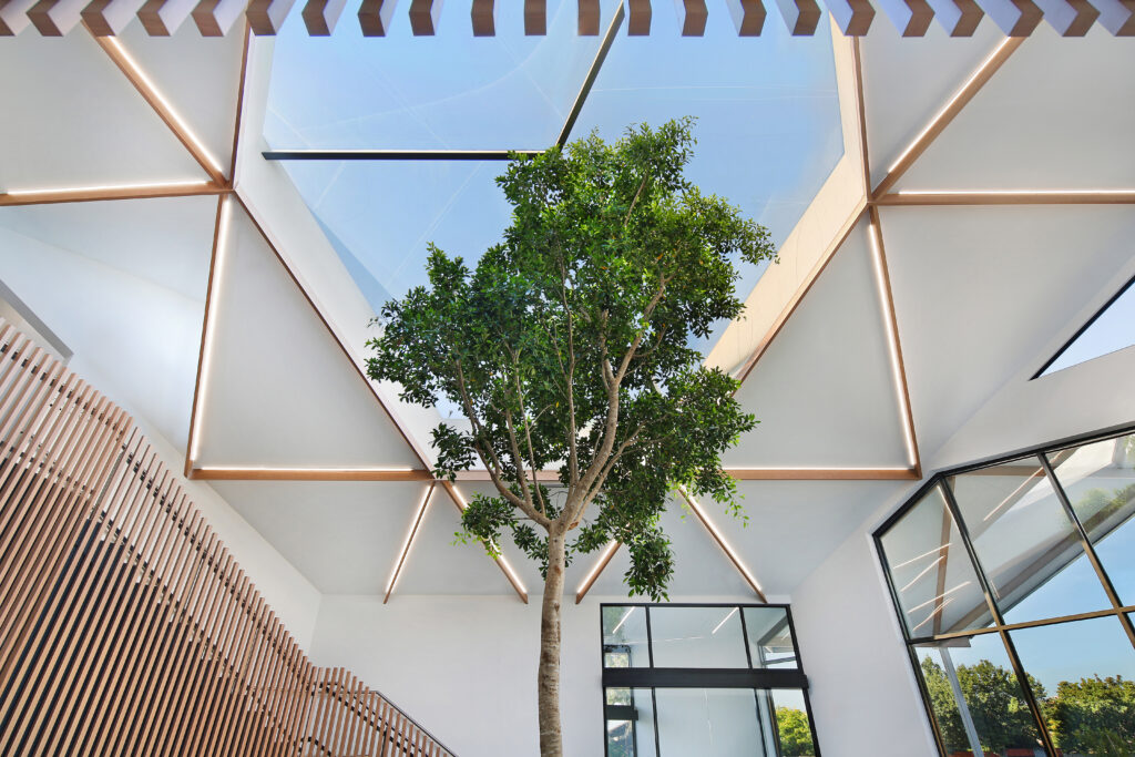 ETFE skylight in Australia: A 50 m² ETFE roof at the Victorian Specialist Centre creates a light-filled entrance where a ficus hillii tree thrives under three two-layer cushions.