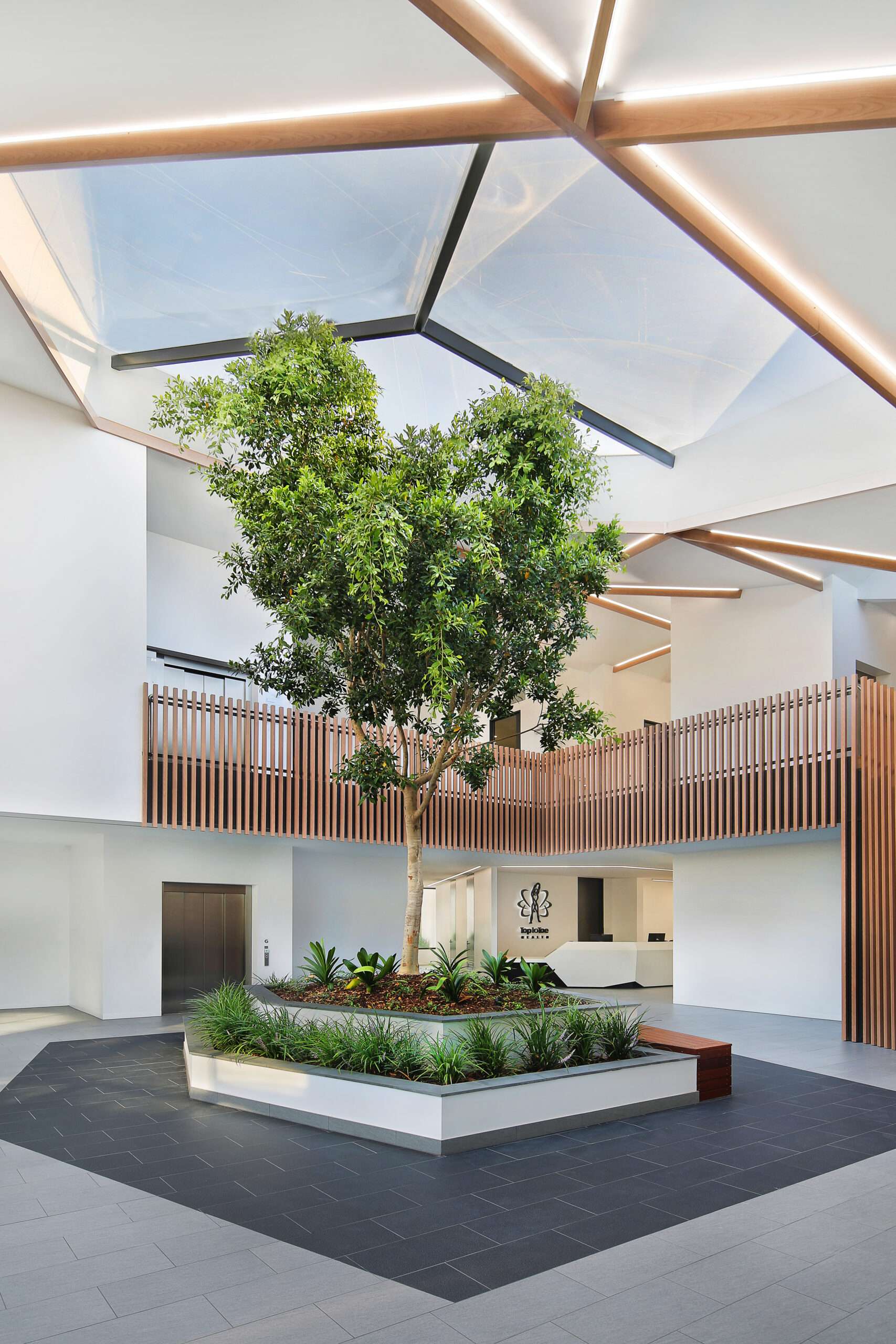 ETFE skylight in Australia: A 50 m² ETFE roof at the Victorian Specialist Centre creates a light-filled entrance where a ficus hillii tree thrives under three two-layer cushions.